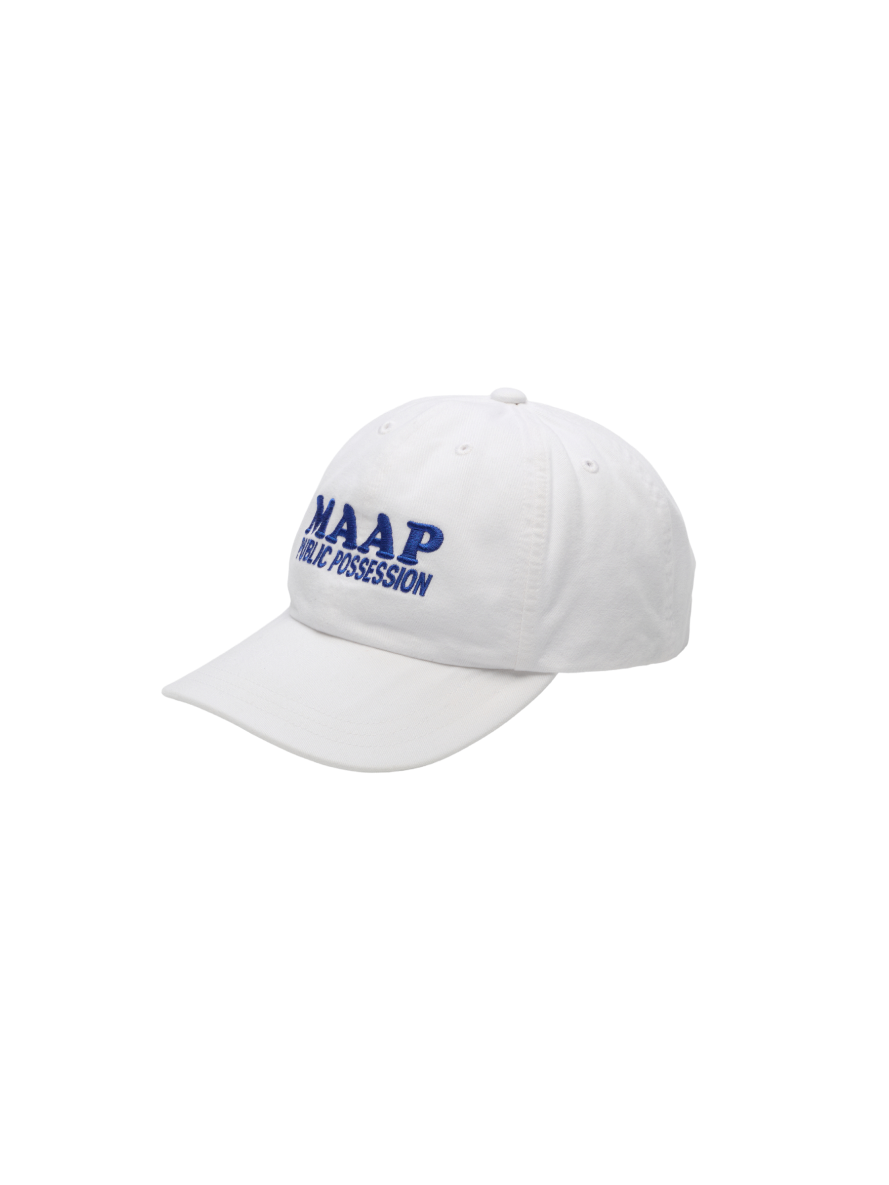 PUBLIC POSSESSION X MAAP 6 PANEL CAP