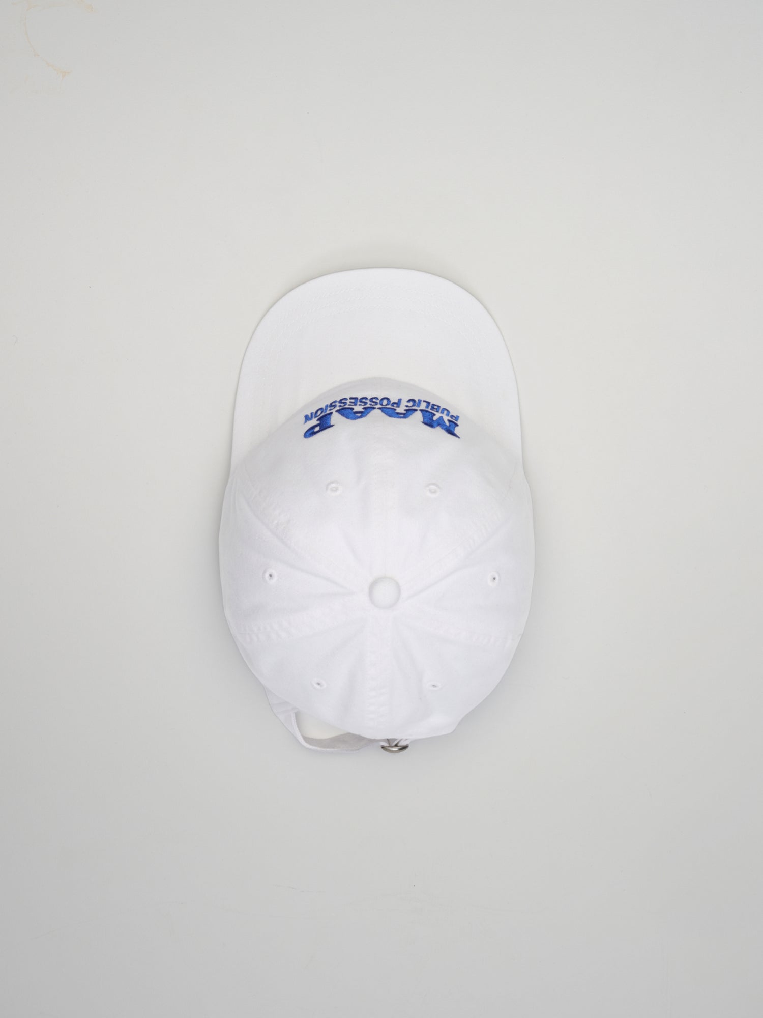 PUBLIC POSSESSION X MAAP 6 PANEL CAP