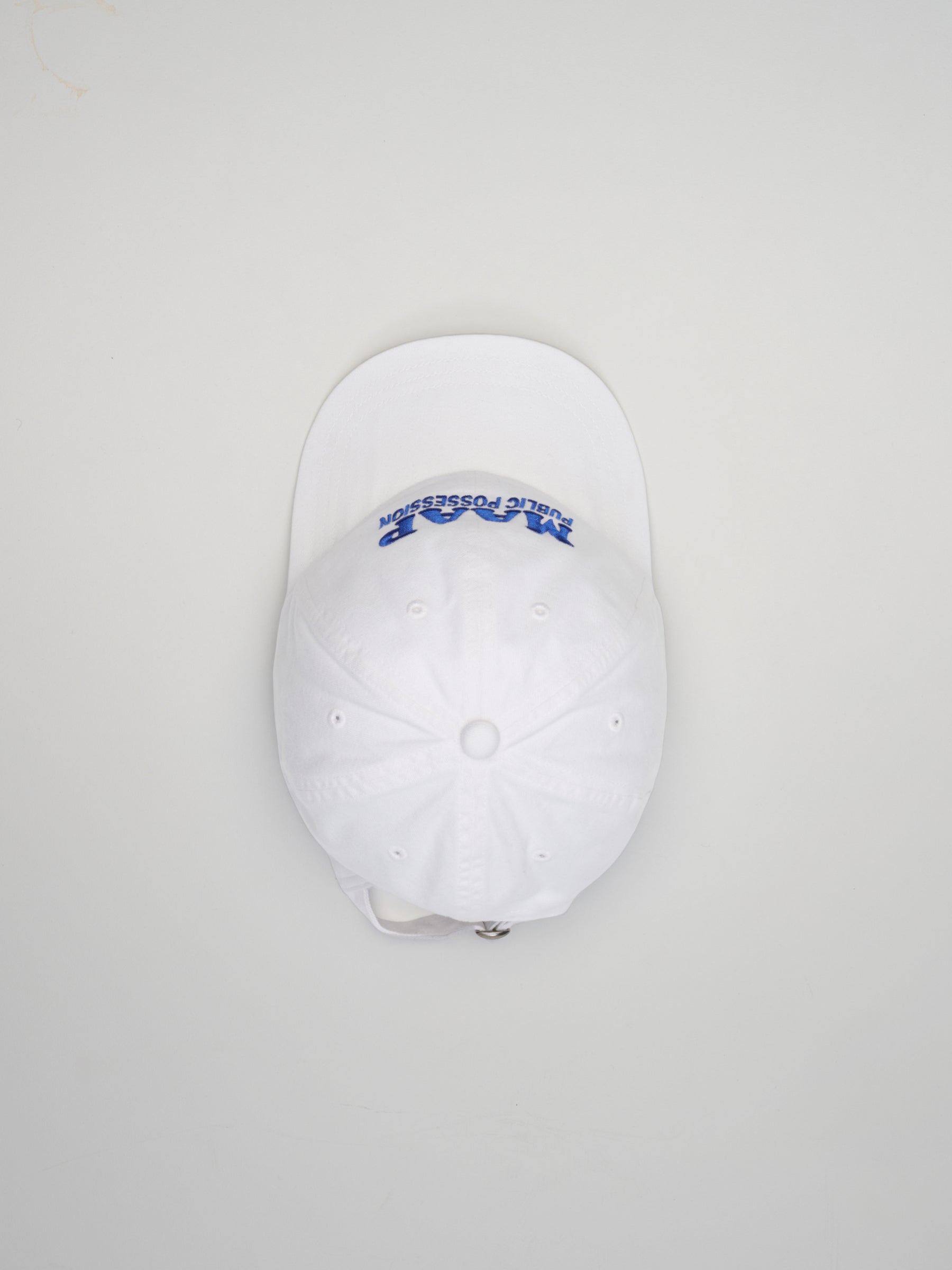 PUBLIC POSSESSION X MAAP 6 PANEL CAP