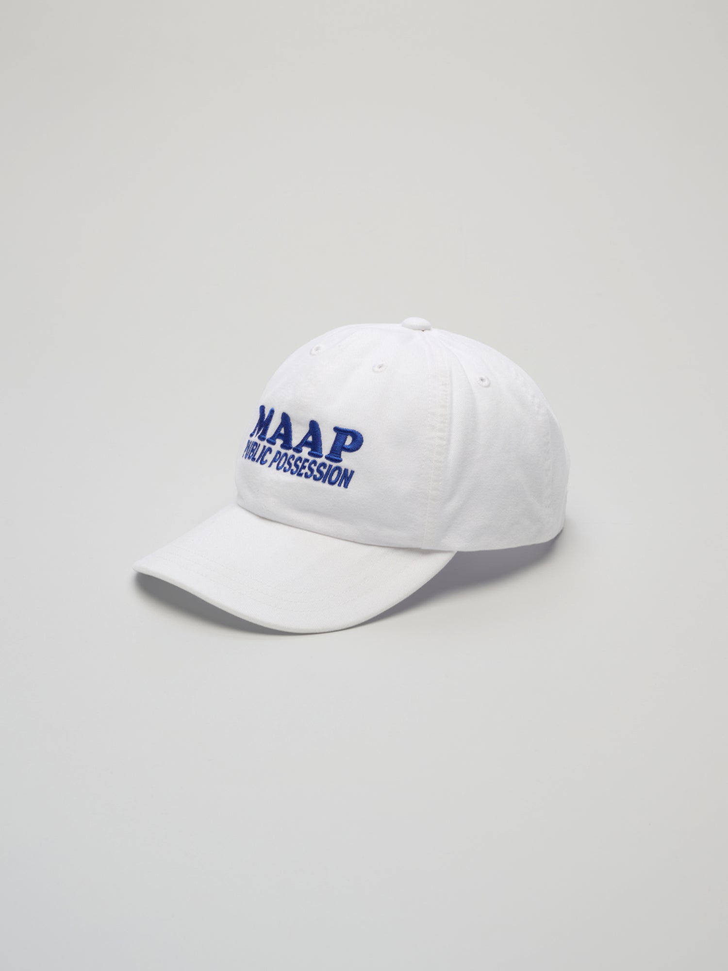 PUBLIC POSSESSION X MAAP 6 PANEL CAP