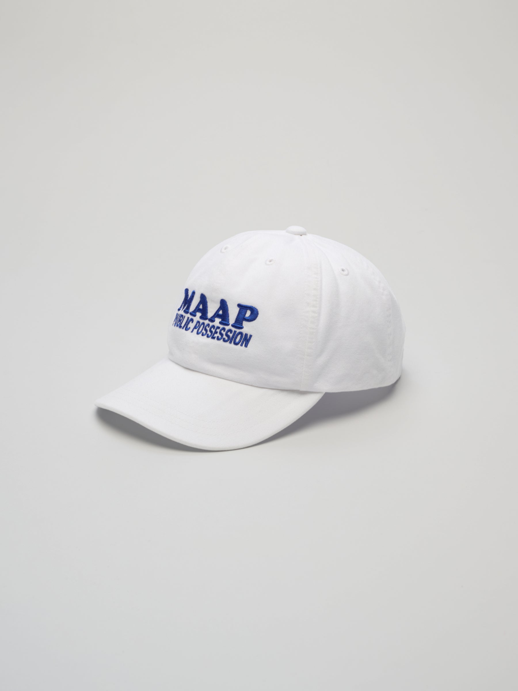 PUBLIC POSSESSION X MAAP 6 PANEL CAP