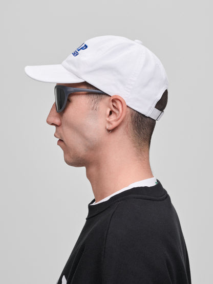 PUBLIC POSSESSION X MAAP 6 PANEL CAP